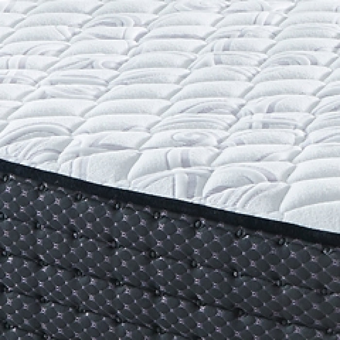 Ashley Express - Limited Edition Firm  Mattress